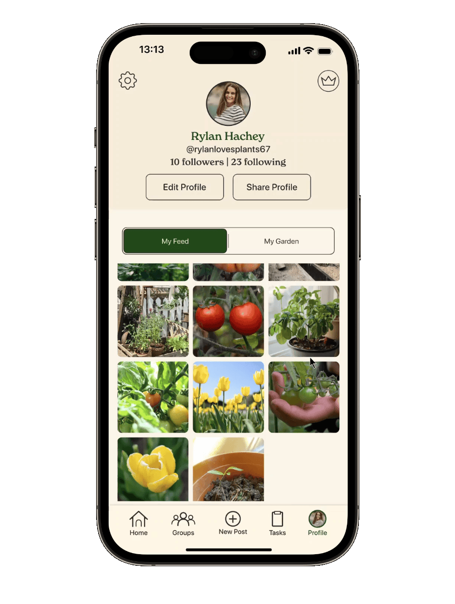 Checking old statistics on a plant